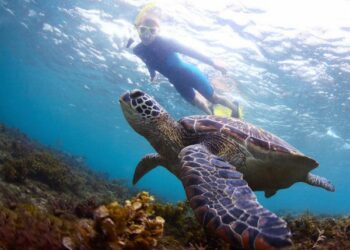 Montego bay marine park snorchelausflug