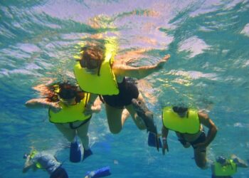 Montego bay marine park tour